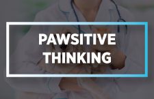 Pawsitive Thinking for Future Vets: Helping or Hindering Mental Health