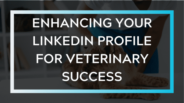 Enhancing your LinkedIn profile for veterinary success