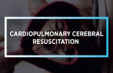 Cardiopulmonary Cerebral Resuscitation