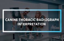 Canine Thoracic Radiograph Interpretation