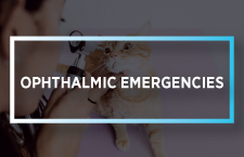 Ophthalmic Emergencies