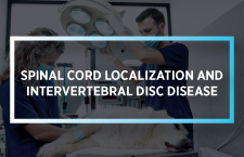 Spinal Cord Localization and Intervertebral Disc Disease