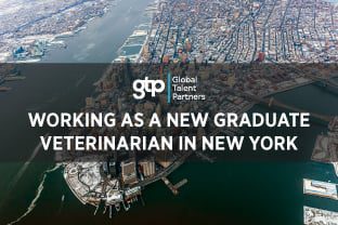 Graduate Veterinarian Jobs New York City
