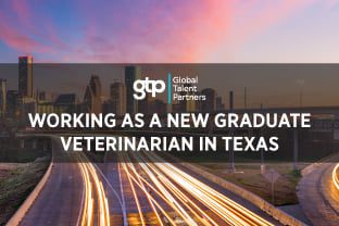 New Graduate Veterinarian Jobs Texas