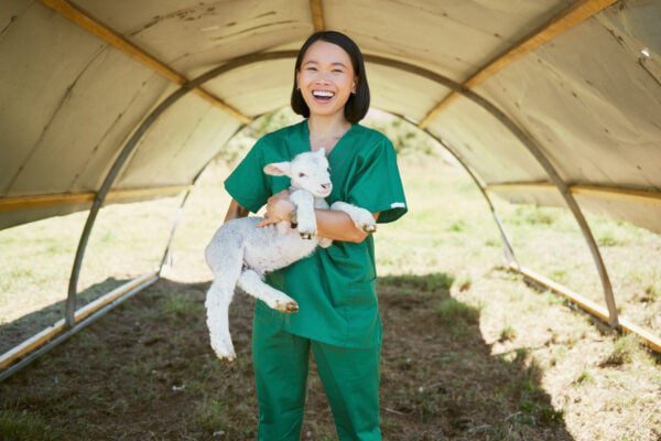 Veterinarians in Texas